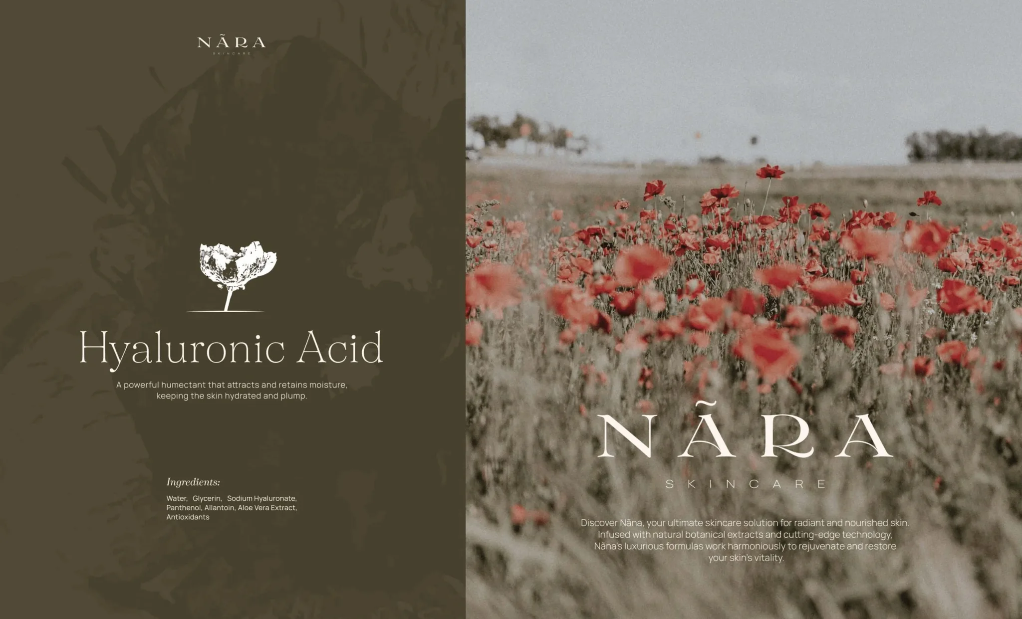 Nãra botanical skincare brand identity, visual 5 of 12